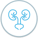 UROLOGY